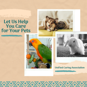 Let-us-Help- You Care for your pets
