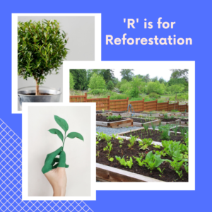 R is for Reforestation
