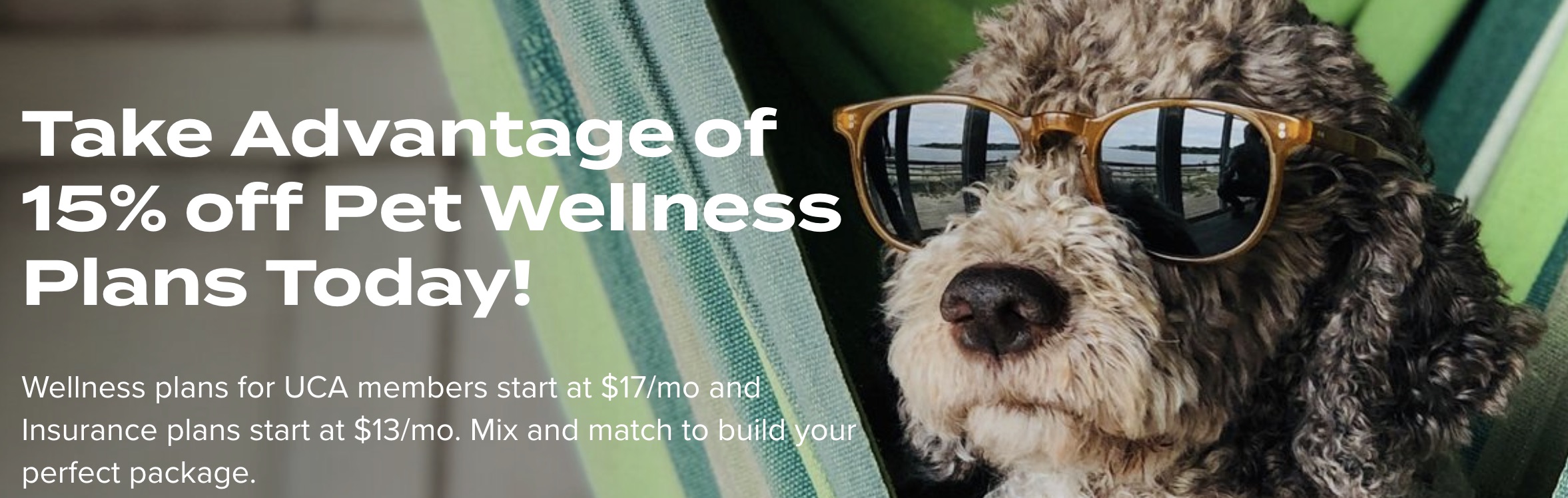 pet wellness with wagmo